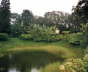 Awapuhifarmsee
