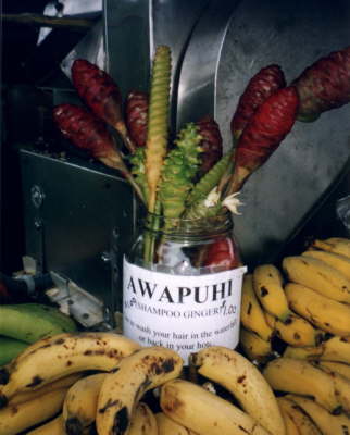 Awapuhiwash1kl
